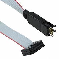PLUG-OF-NAILS 10-PIN W/ LEGS 8"