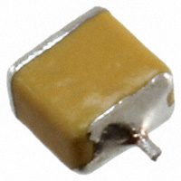 F951E106KBAAQ2